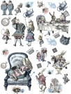 Alice in Wonderland Transfer thumbnail