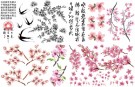 Cherry Blossom Transfer thumbnail
