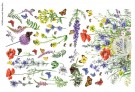 Wildflowers And Butterflies thumbnail