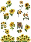 Sunflowers Transfer thumbnail