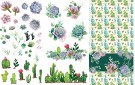 Cacti And Succulents Transfer thumbnail