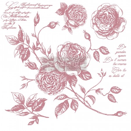 Redesign Decor Stamp – Romance Roses