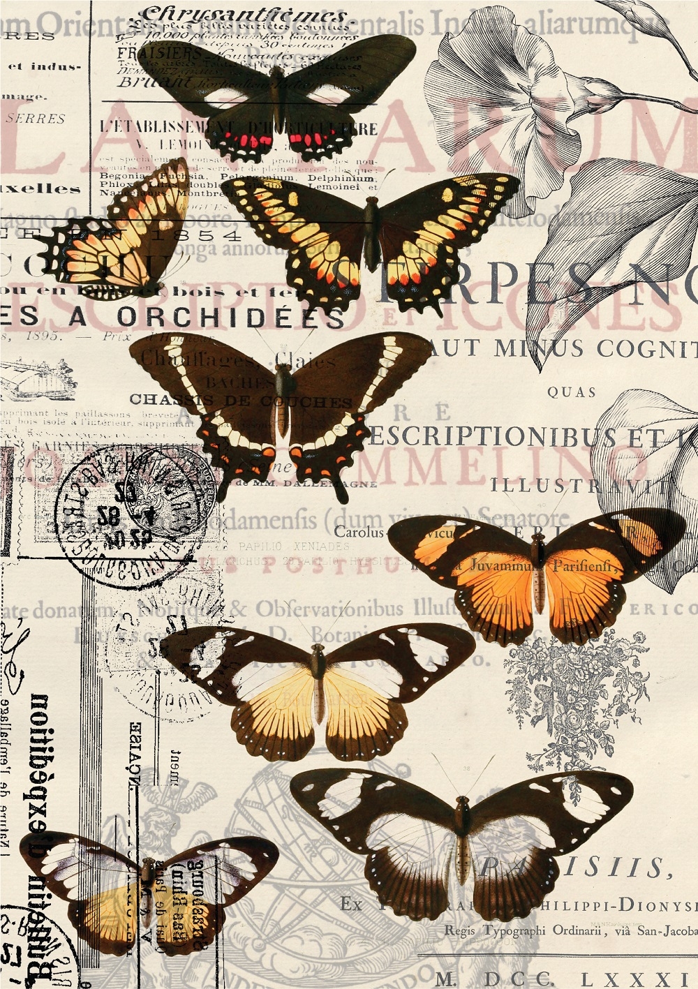 Follow the flight of butterflies in this Vintage Butterflies Decoupage Paper. 50.8 x 76.2 cm.

