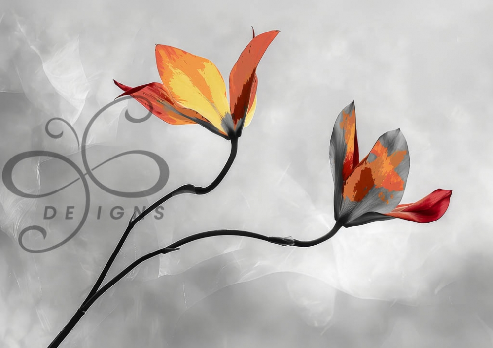 Flammer i Stillhet A1 (84x59cm). A1 format decoupage eller fine art.
