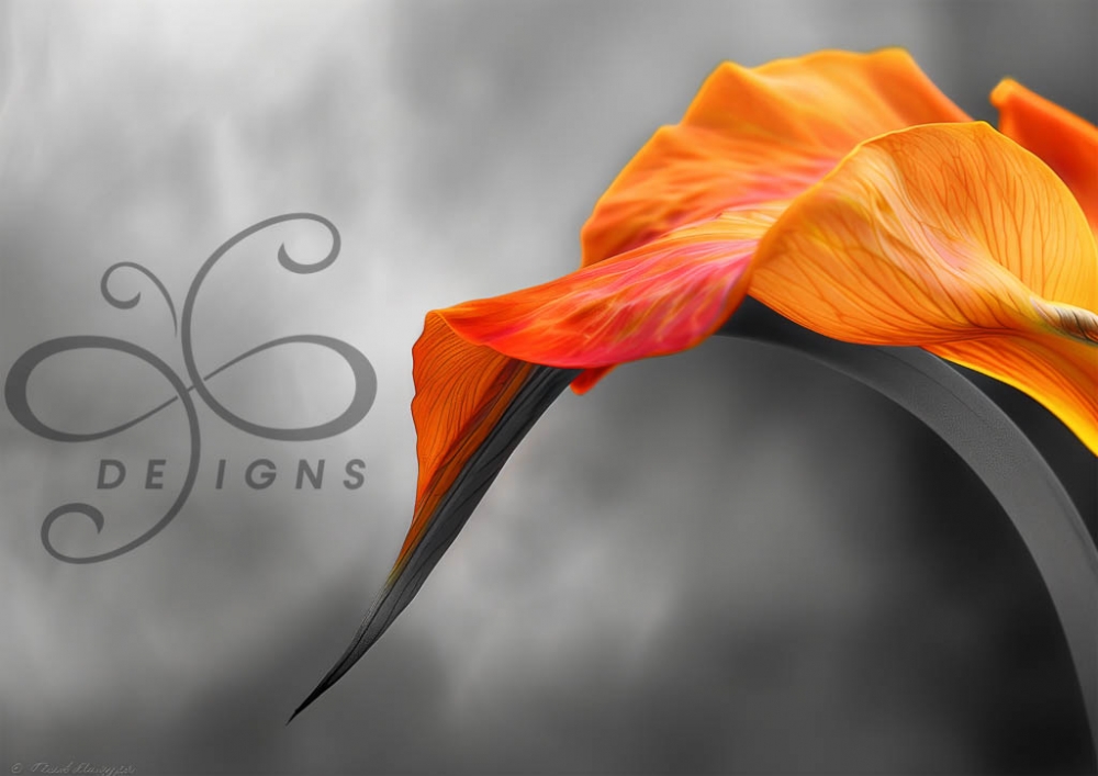 Luminous Fold A1 (84x59cm). A1 format decoupage eller fine art.
